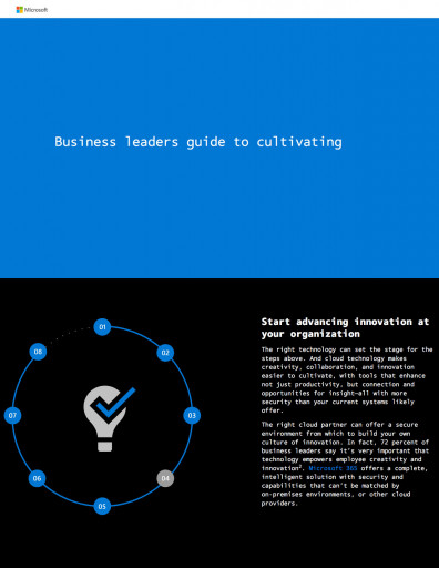 Business Leaders Guide to Innovation